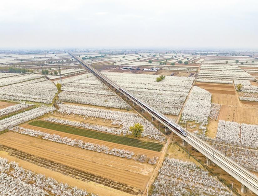 W020260521585232739538 NG电子游戏·(中国区)官方网站